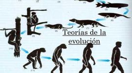 Timeline: Teorías del origen de la vida y evolucion