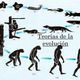 Teorias de la evolucion