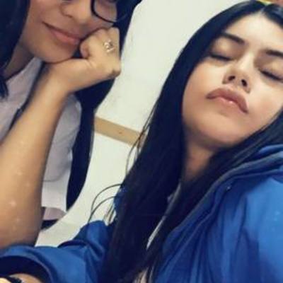 Timeline: Las unicornias