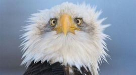 Timeline: POST- WWII TIMELINE EVENTS