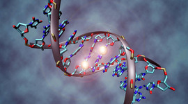 Timeline: Evolución de los Conocimientos Genéticos