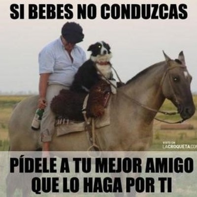 Timeline: linea de tiempo de  word