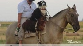 Timeline: linea de tiempo de  word