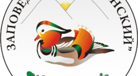 Timeline: 10 значимых событий в истории Ботчинского заповедника