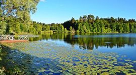 Timeline: Волжско-Камский заповедник