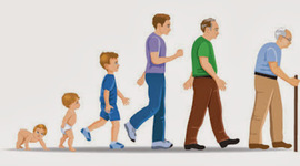 Timeline: Los Procesos Históricos de la Psicología Evolutiva