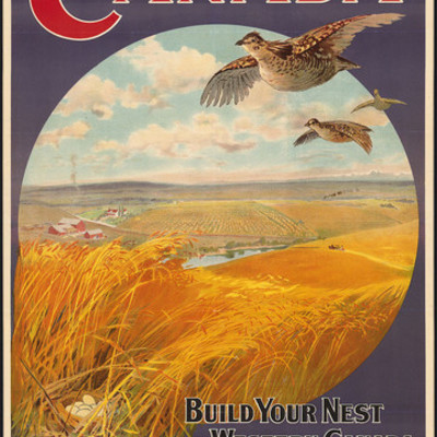 Timeline: NEST IN THE WEST