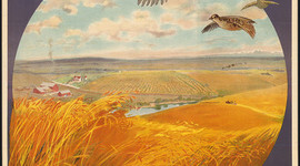 Timeline: NEST IN THE WEST