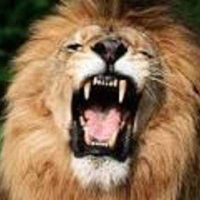 Timeline: Filosofía Política