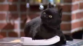 Timeline: 1990s Timeline