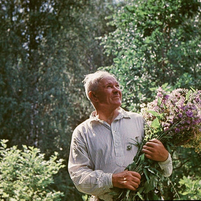 Timeline: "По ступенькам жизни Аркдия Александровича Пластова"