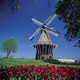 Windmill