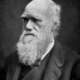 Portrait of charles darwin. wellcome m0010103 58da03dc5f9b584683ae151f