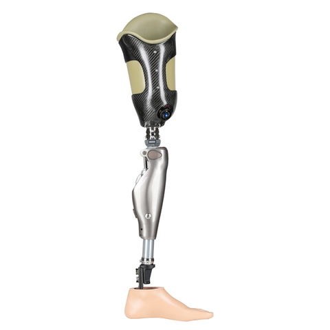 Timeline Of Prosthetics Timetoast Timelines