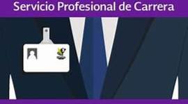 Timeline: Etapas del servicio profesional de carrera en México