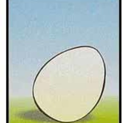 Timeline: Ένα κοτοπουλάκι γεννιέται!!!