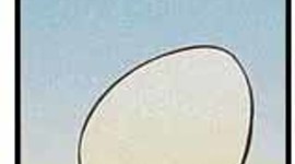 Timeline: Ένα κοτοπουλάκι γεννιέται!!!