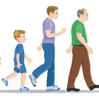 Timeline: Desarrollo Sexual de la Infancia a la Senectud