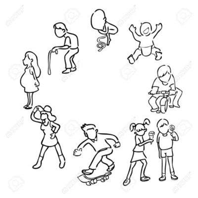 Timeline: Ο κύκλος της ζωής