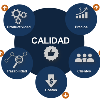 Timeline: Etapas Evolutivas de la Calidad
