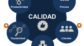 Timeline: Etapas Evolutivas de la Calidad