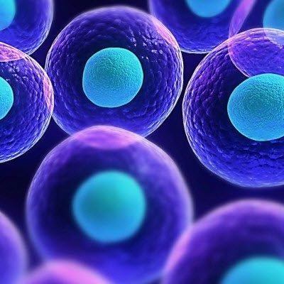 Timeline: Descubrimiento de las células