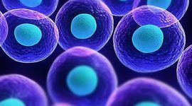 Timeline: Descubrimiento de las células