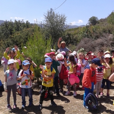 Timeline: ΠΕΡΙΒΑΛΛΟΝ