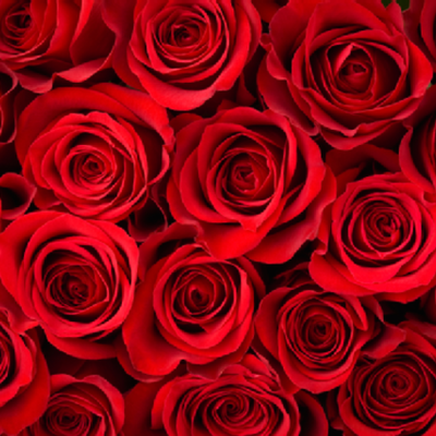 Timeline: To The U.S