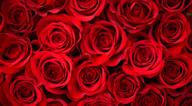 Timeline: To The U.S