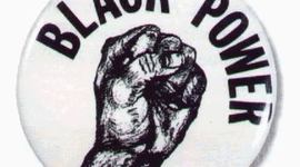 Timeline: Black Panthers