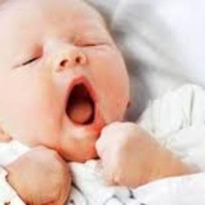 Timeline: El desarrollo de la vida