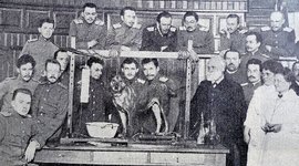 Timeline: LA PSICOLOGÍA EN LOS SIGLOS XIX Y XX