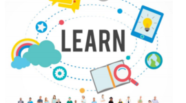 Timeline: Línea de Tiempo Evolución del Concepto de RED