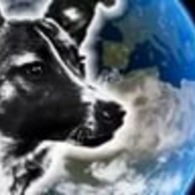 Timeline: Собаки в космосе