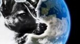 Timeline: Собаки в космосе