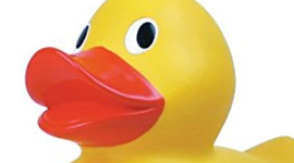 Timeline: Civil Rights Timeline