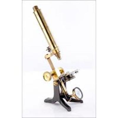 Timeline: Invención del Microscopio