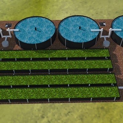 Timeline: Historia de la Acuicultura