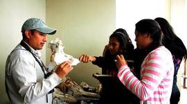 Timeline: Tema San Juan