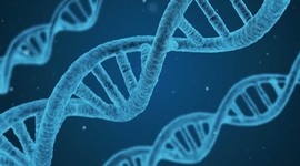 Timeline: CRONOLOGIA DEL ADN