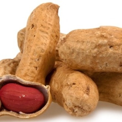 Timeline: How the immune system reacts to a food based reaction