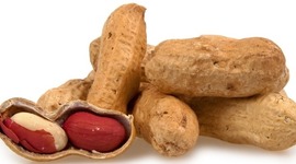 Timeline: How the immune system reacts to a food based reaction