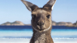 Timeline: Australia's History