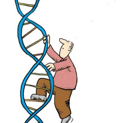 Timeline: Da Mendel al DNA