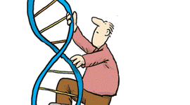 Timeline: Da Mendel al DNA