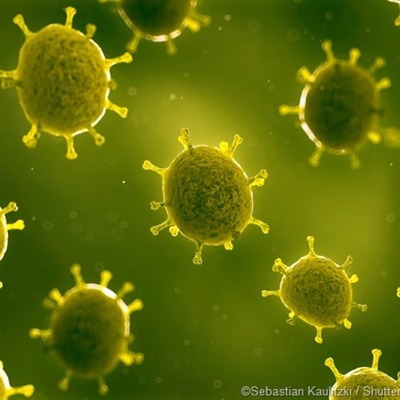 Timeline: Smallpox Timeline