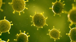 Timeline: Smallpox Timeline