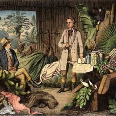 Timeline: Expediciones botánicas