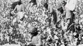 Timeline: Slavery in America